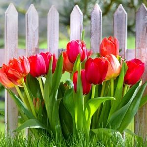 Meet your Posher, Arlynn